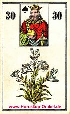 Wüst Lenormand die Lilie